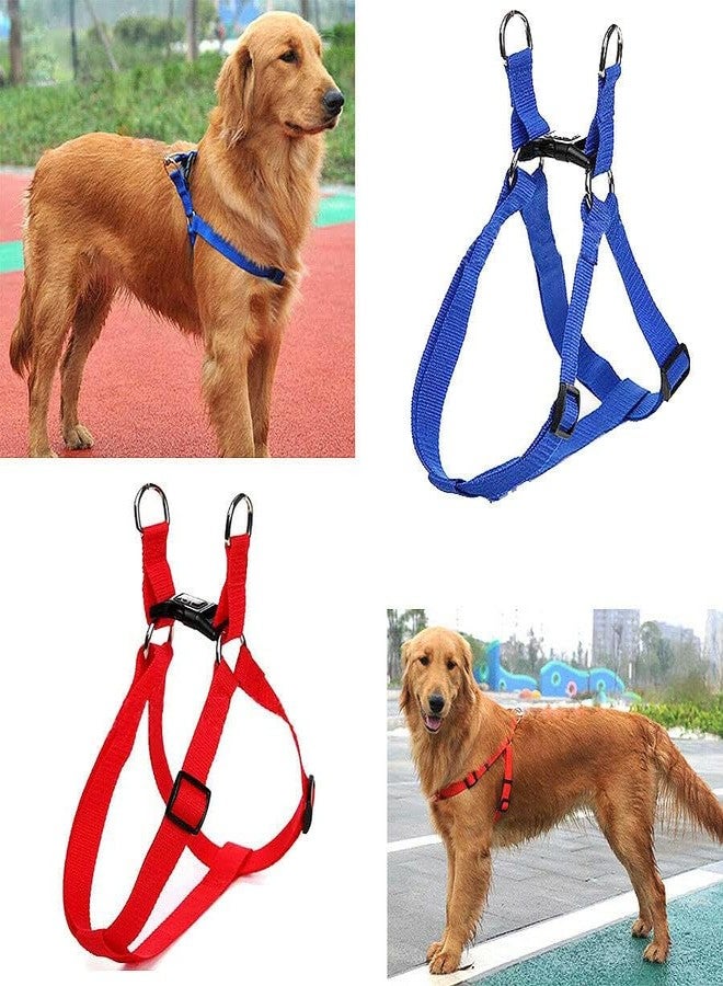 Pups&Pets 15 MM Nylon Leash with Harness 0.5 Inch Adjustable Nylon Harness Set Ideal for Small Breed Dog & Puppies - Blue - Image 3
